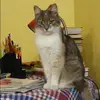 Отзыв от Ульяна Аксенова